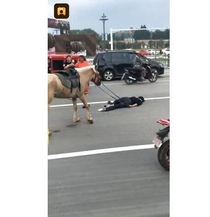 网红骑马爆料视频大全,精彩瞬间尽收眼底