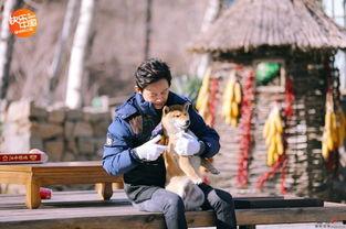 任泉何炅爆料视频最新,娱乐圈幕后真相大曝光! 第2张 任泉何炅爆料视频最新,娱乐圈幕后真相大曝光! 第2张